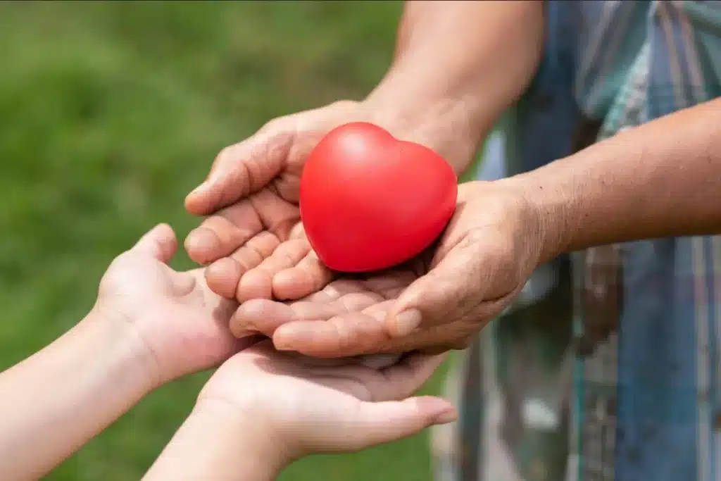 Fidelity Charitable Giving